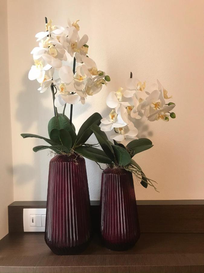 Verona Porta Borsari Relais Eksteriør bilde